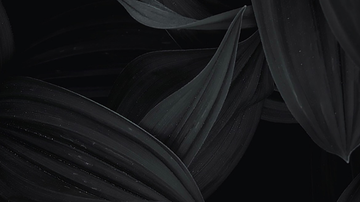 Cover photo for Natasha Victoria