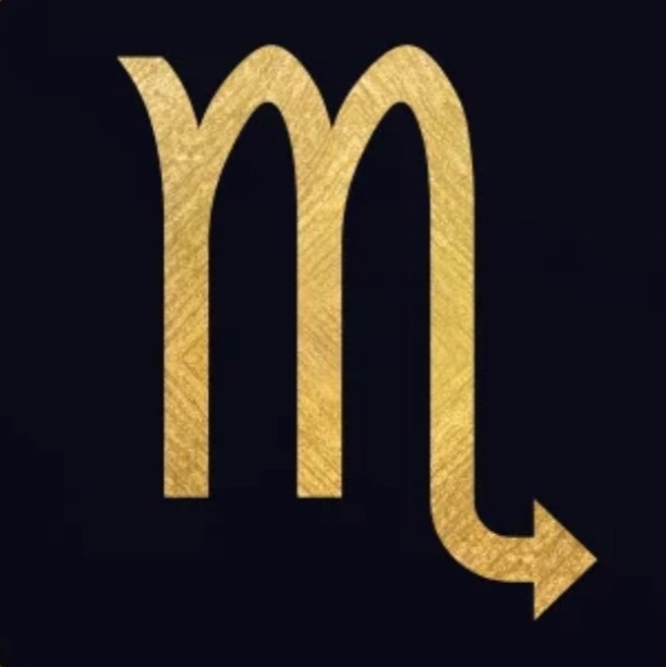 Mirza S.'s avatar